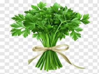 PEREJIL 200G